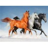 Horses | 5D Diamond Painting | Square Diamond