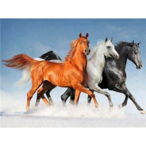 Horses | 5D Diamond Painting | Square Diamond
