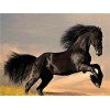 Horses | 5D Diamond Painting | Square Diamond