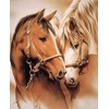 Horses | 5D Diamond Painting | Square Diamond