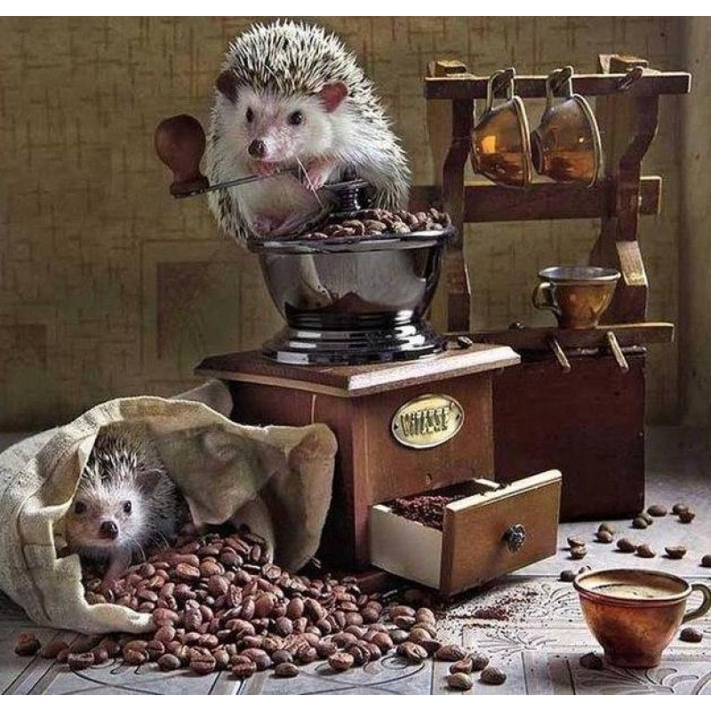 Hedgehog | 5D Diamon...