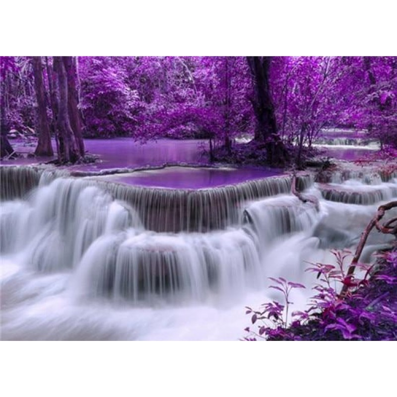 Forest Waterfalls | ...