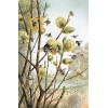 Flowers | 5D Diamond Painting | Square/Round Drill