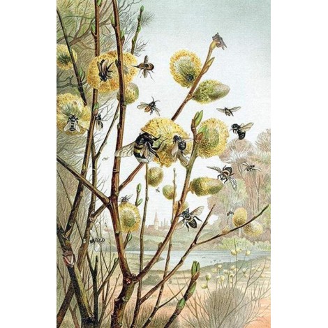 Flowers | 5D Diamond Painting | Square/Round Drill