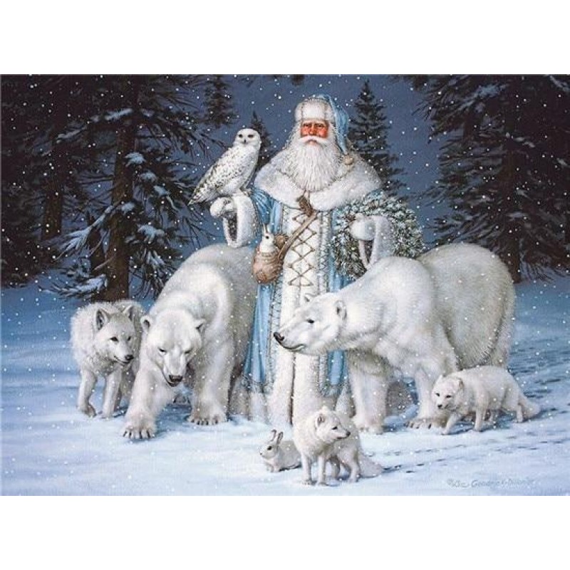 Santa Claus | 5D Dia...