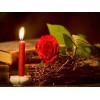 Rose | 5D Diamond Painting | Square Diamond