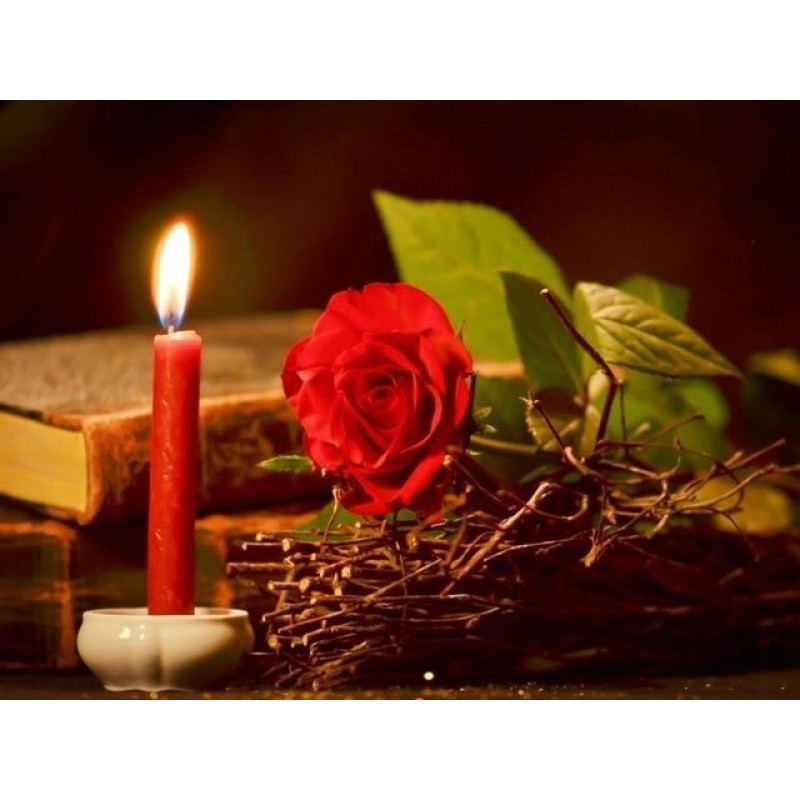 Rose | 5D Diamond Pa...
