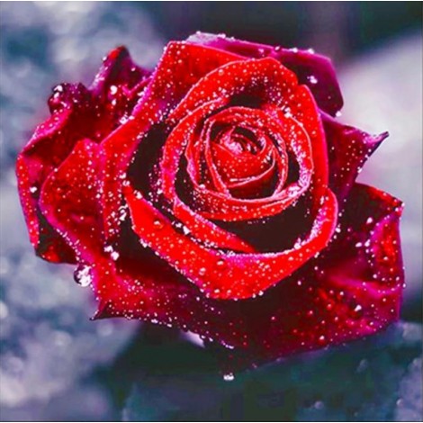 Rose | 5D Diamond Painting | Round Diamond
