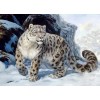 Snow Leopard | 5D Diamond Painting | Square Diamond