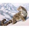 Snow Leopard | 5D Diamond Painting | Square Diamond