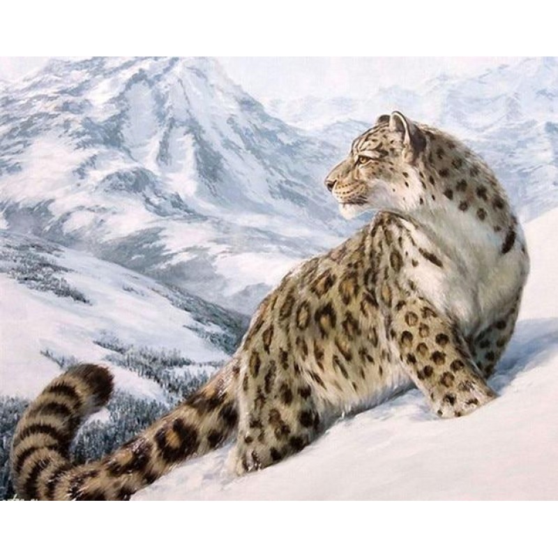 Snow Leopard | 5D Di...