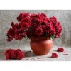Flowers | 5D Diamond Painting | Round Diamond