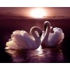 Swans | 5D Diamond Painting | Square Diamond