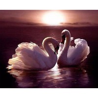 Swans | 5D Diamond Painti...
