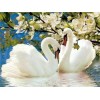 Swan | 5D Diamond Painting | Round Diamond