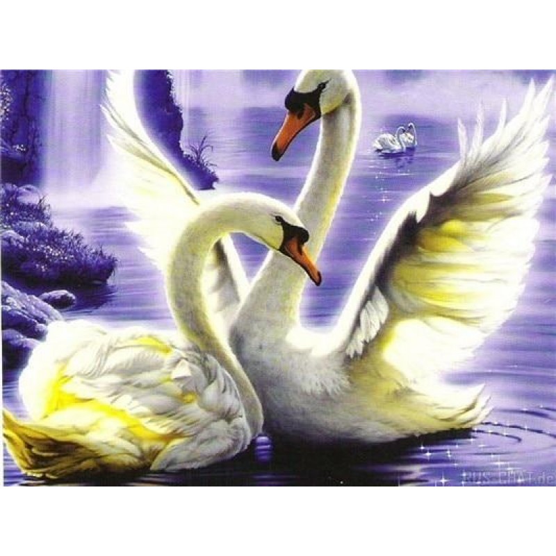 Swan | 5D Diamond Pa...
