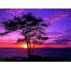 Sunset | 5D Diamond Painting | Square Diamond