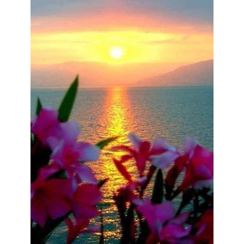 Sunset | 5D Diamond ...