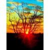 Sunset | 5D Diamond Painting | Square Diamond