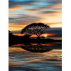 Sunset | 5D Diamond Painting | Square Diamond