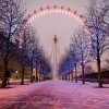Ferris wheel | 5D Diamond Painting | Square/Round Drill