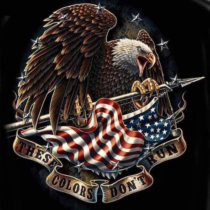 Eagle | 5D Diamond P...