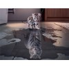 Dream Big | 5D Diamond Painting | Square/Round Diamond