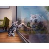Dream Big | 5D Diamond Painting | Square/Round Diamond