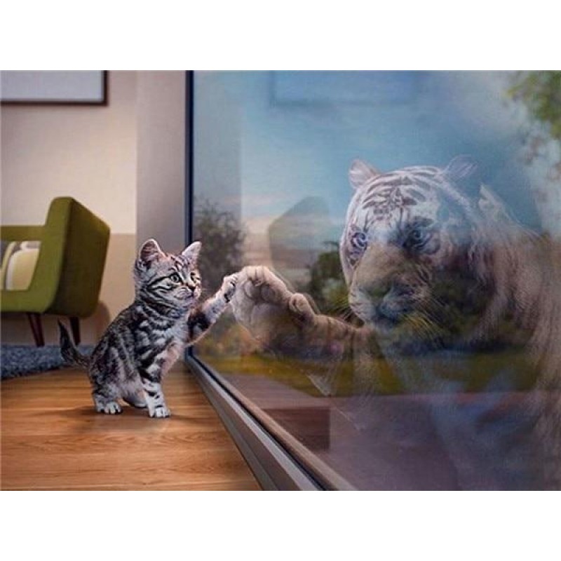 Dream Big | 5D Diamo...