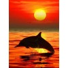Dolphins | 5D Diamond Painting | Square Diamond