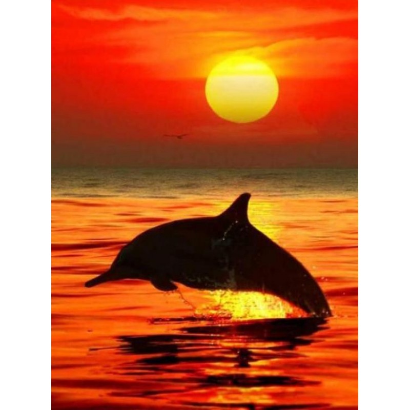 Dolphins | 5D Diamon...