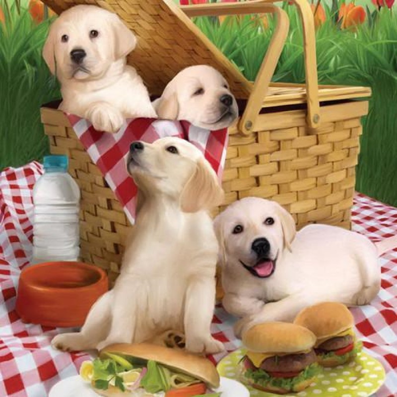 Dog Family  | 5D Dia...