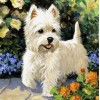 Dog  | 5D Diamond Painting | Square Diamond