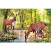 Deer | 5D Diamond Painting | Square Diamond
