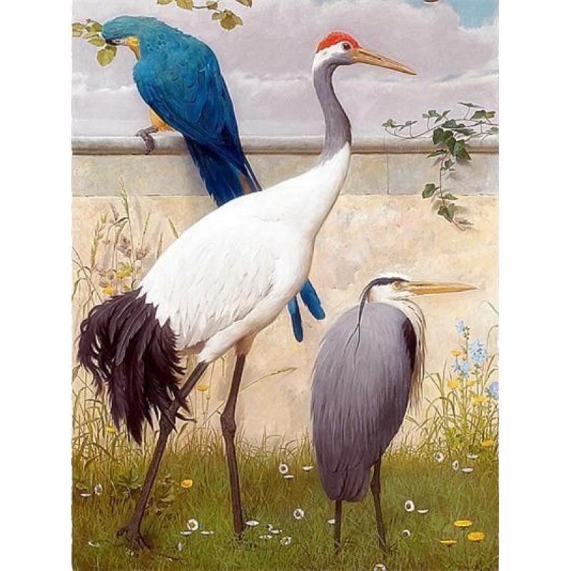 Crane | 5D Diamond P...