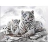 Tigers | 5D Diamond Painting | Square Diamond