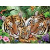 Tigers | 5D Diamond Painting | Square Diamond