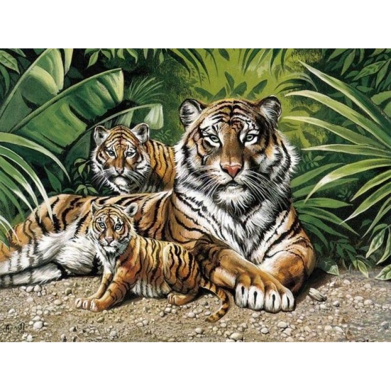 Tigers | 5D Diamond ...