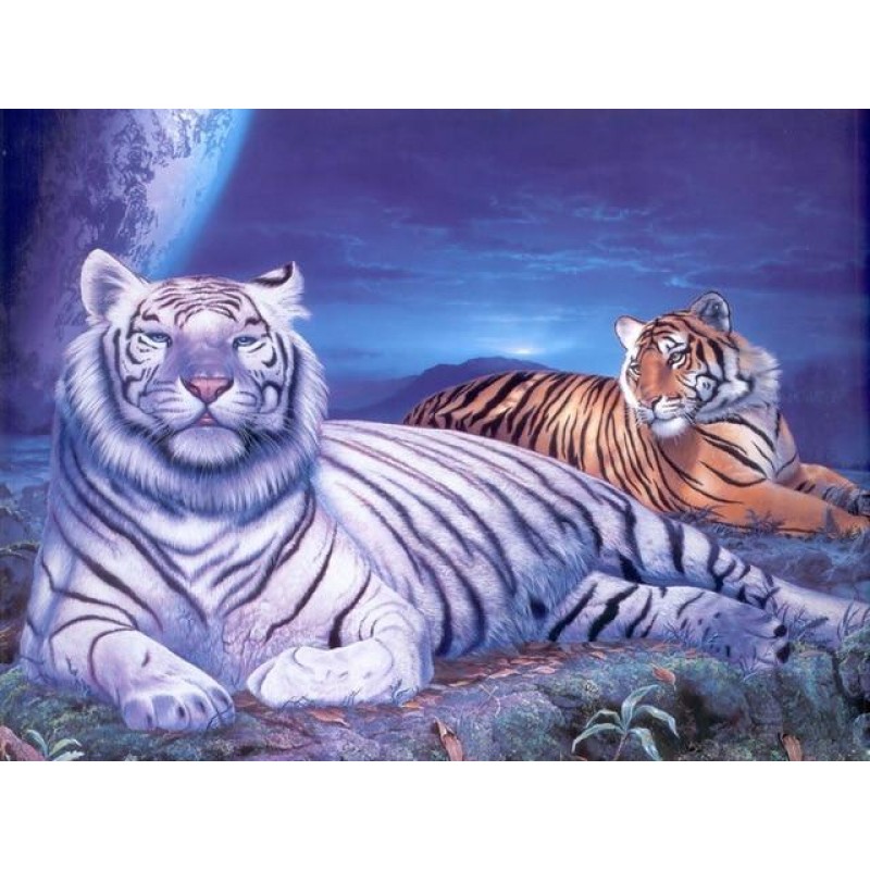 Tigers | 5D Diamond ...