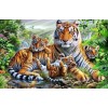 Tigers | 5D Diamond Painting | Square Diamond