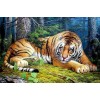 Tigers | 5D Diamond Painting | Square Diamond