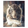 Tiger | 5D Diamond Painting | Square/Round Diamond