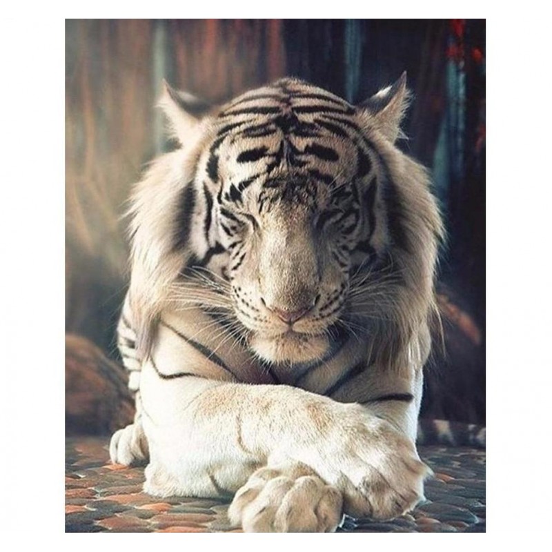 Tiger | 5D Diamond P...