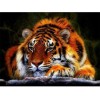 Tiger | 5D Diamond Painting | Square/Round Diamond