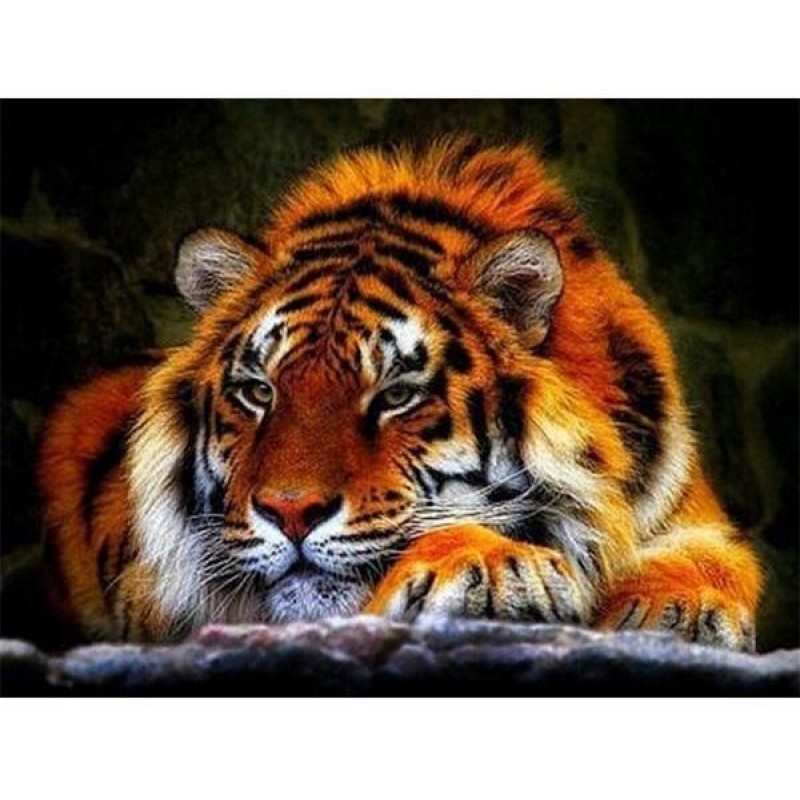 Tiger | 5D Diamond P...