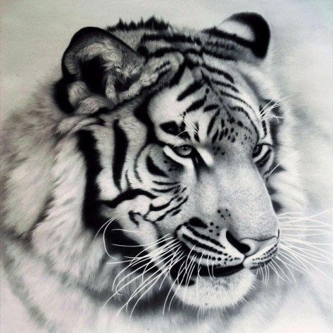 Tiger | 5D Diamond Painting | Round Diamond