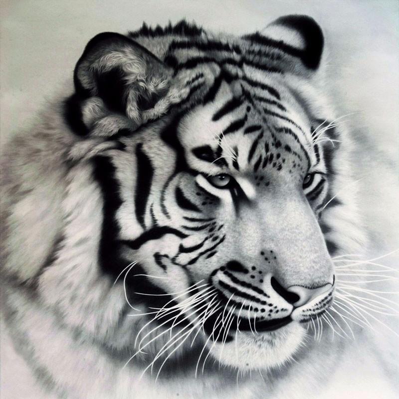 Tiger | 5D Diamond P...