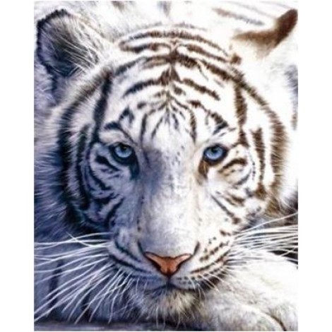 Tiger | 5D Diamond Painting | Round Diamond