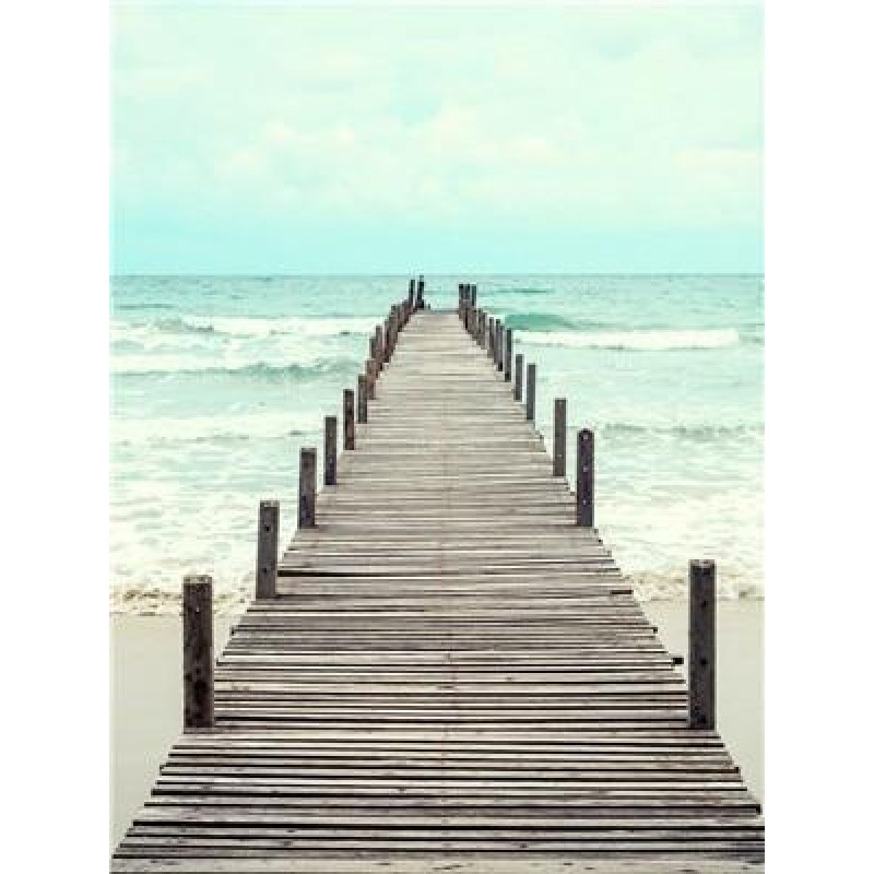 The Coastline | 5D D...
