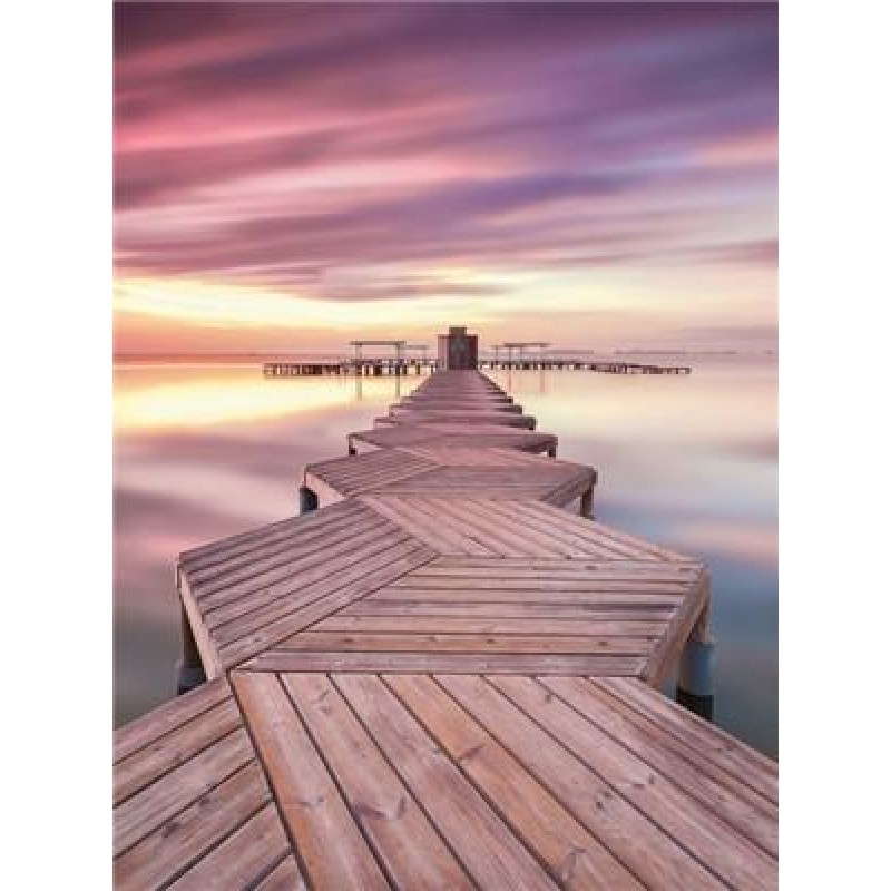 The Coastline | 5D D...
